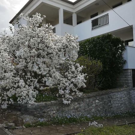 Stella Marina Apartment Umag Exterior foto